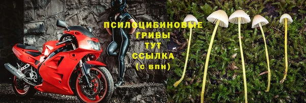 дурь Мегион
