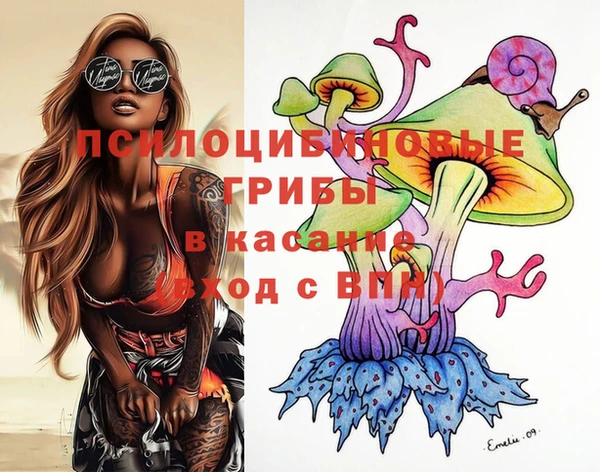 дурь Мегион