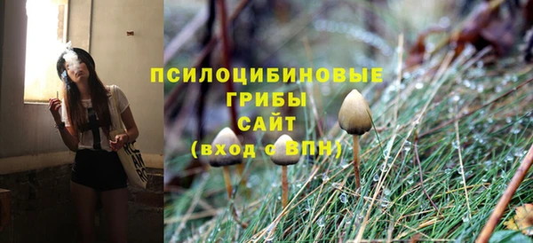 дурь Мегион