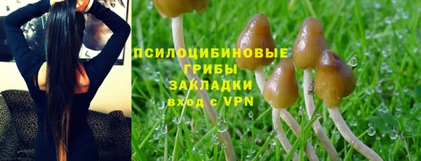 скорость mdpv Медвежьегорск