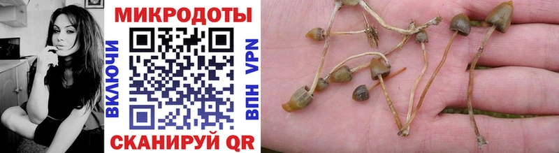 Псилоцибиновые грибы Psilocybine cubensis  Купить  Карачаевск 