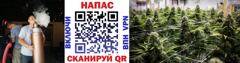 Канабис AK-47  Купить где  Карачаевск 